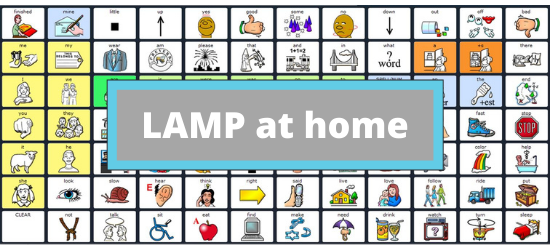 LAMP at home – beyond the therapy session